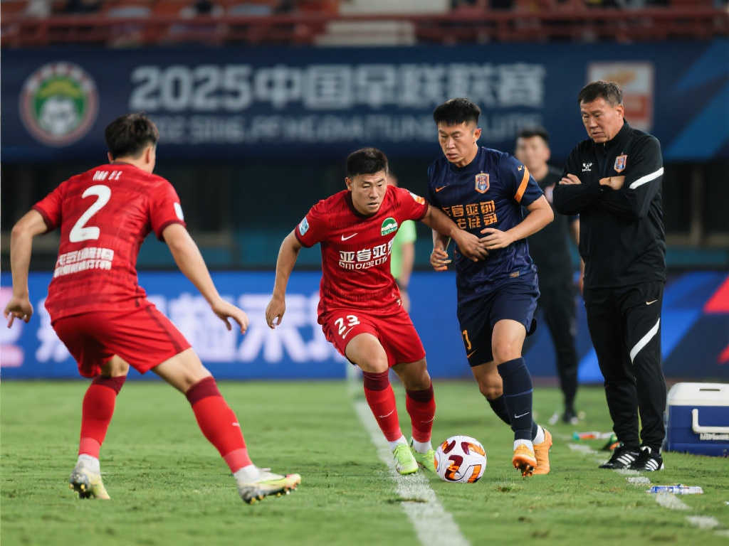 组织与控制 组织与控制