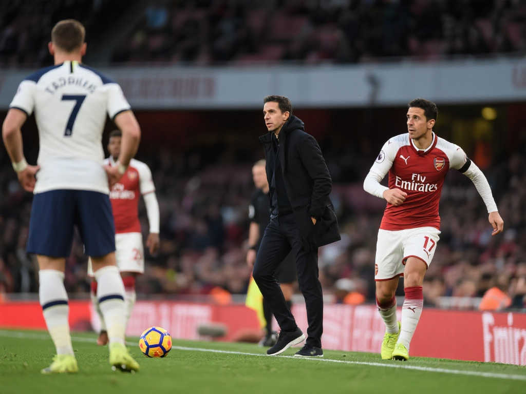 乃至整个教 乃至整个教