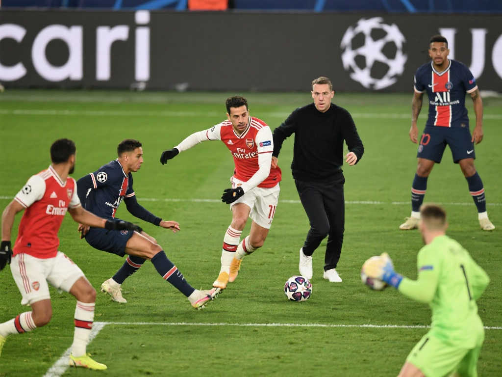 团队协作和 团队协作和